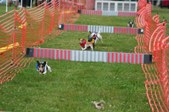 Enlarge photo 215