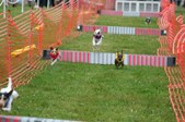 Enlarge photo 216