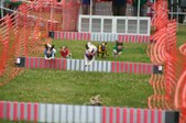 Enlarge photo 219