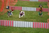 Enlarge photo 220