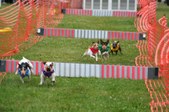 Enlarge photo 224