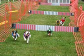 Enlarge photo 222