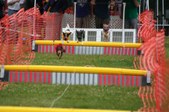 Enlarge photo 229