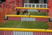 Enlarge photo 230
