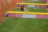 Enlarge photo 232
