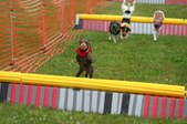 Enlarge photo 235