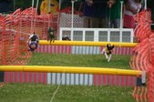 Enlarge photo 241