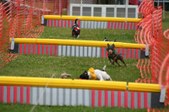Enlarge photo 243