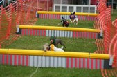Enlarge photo 244