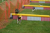 Enlarge photo 246