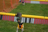 Enlarge photo 249