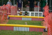 Enlarge photo 253