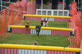 Enlarge photo 256