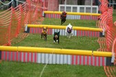 Enlarge photo 255