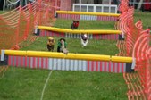 Enlarge photo 254