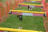 Enlarge photo 259