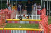 Enlarge photo 263