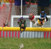 Enlarge photo 262
