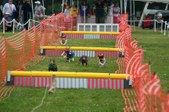 Enlarge photo 266