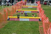 Enlarge photo 267