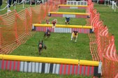 Enlarge photo 269