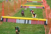 Enlarge photo 272