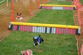 Enlarge photo 273