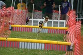 Enlarge photo 274