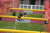 Enlarge photo 278