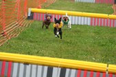 Enlarge photo 276