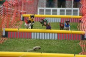 Enlarge photo 282