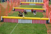 Enlarge photo 283