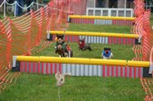 Enlarge photo 284