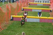 Enlarge photo 285