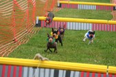 Enlarge photo 286