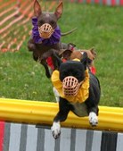 Enlarge photo 288