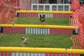 Enlarge photo 291