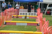 Enlarge photo 293