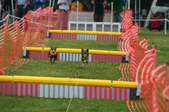 Enlarge photo 292