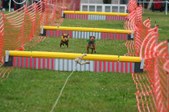 Enlarge photo 294