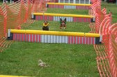 Enlarge photo 295