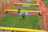 Enlarge photo 296