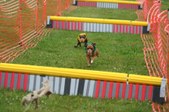 Enlarge photo 297