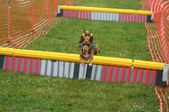Enlarge photo 299