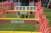 Enlarge photo 302