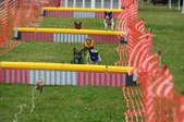 Enlarge photo 306