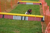 Enlarge photo 308