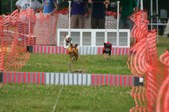 Enlarge photo 325