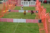 Enlarge photo 326