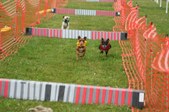 Enlarge photo 327